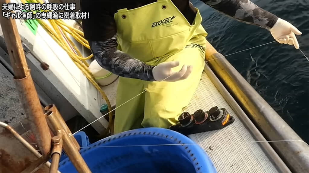 網を上げる作業、実はとても危険なのだとか