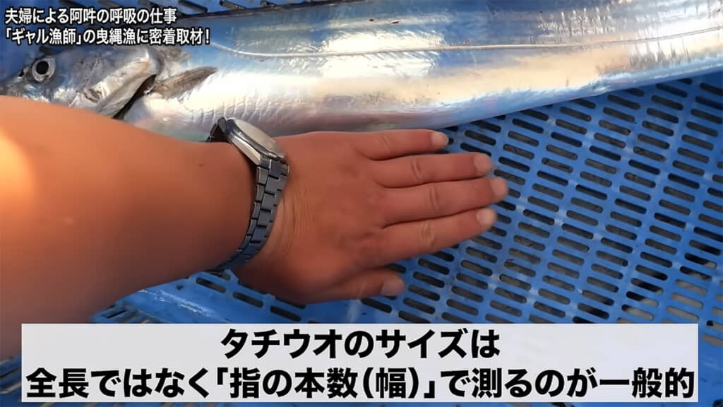 ドラゴンサイズのタチウオが獲れました！