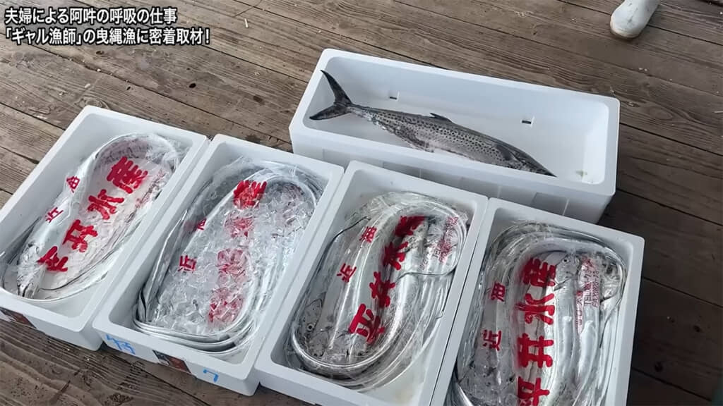 本日の成果、かなり少なめだったそうです