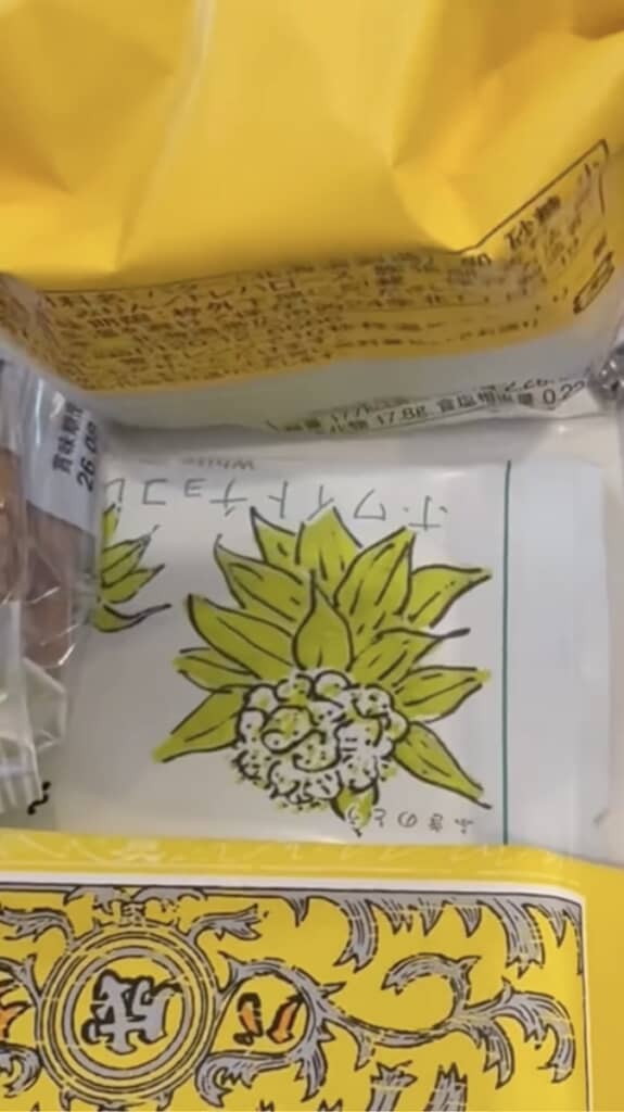 下からチョコが登場!
