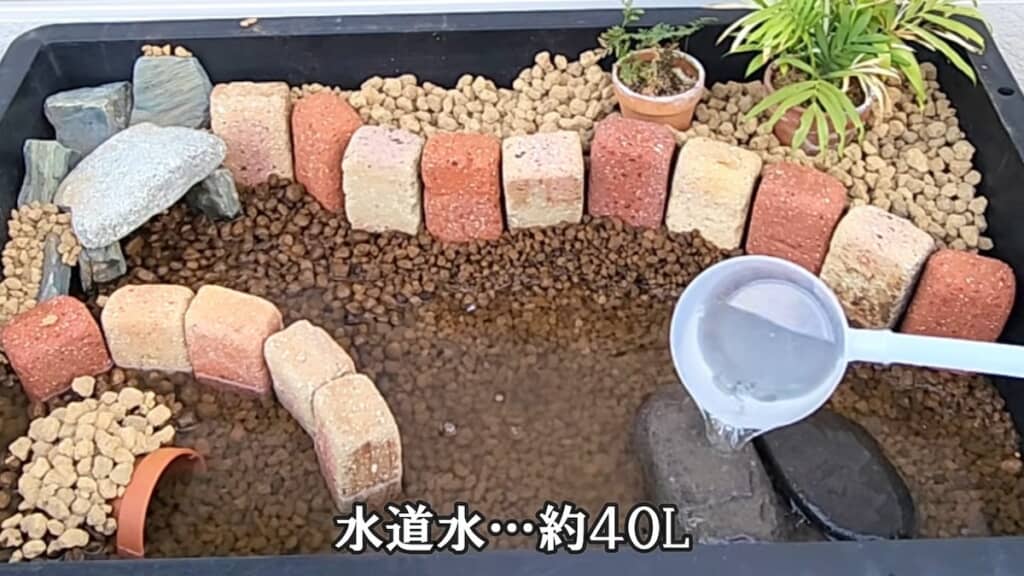 セメント製のレンガを15個使ったビオトープを用意