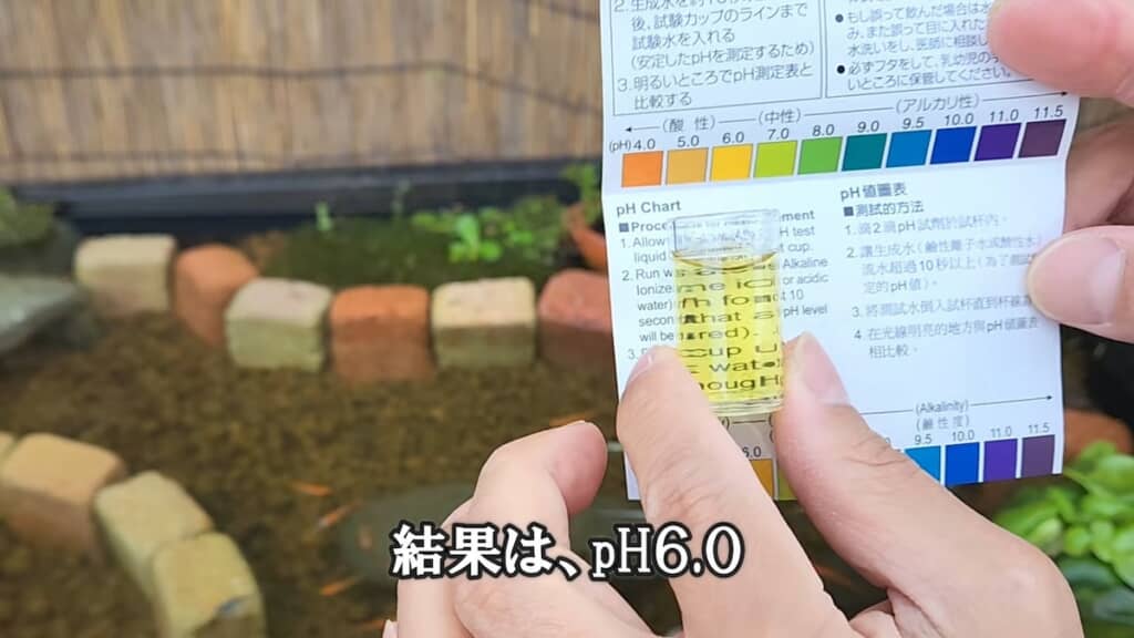 アルカリ性どころか弱酸性の水質