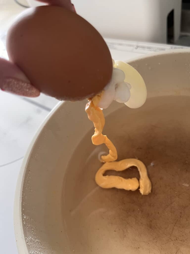 チューブか腸のような黄身