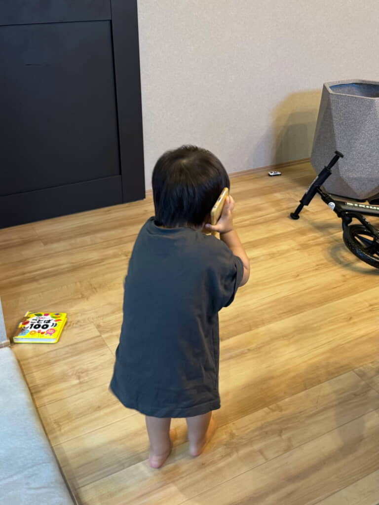 仕事の電話中かな？