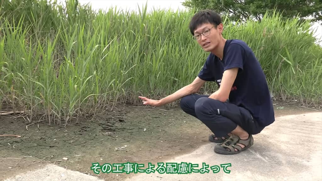 YouTubeチャンネル「コミヤの生物多様性に関する一考察」（@ariake538）の小宮春平さん