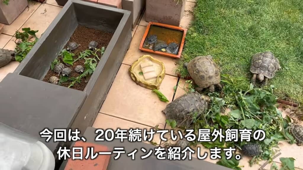 20年続けているルーティンを紹介