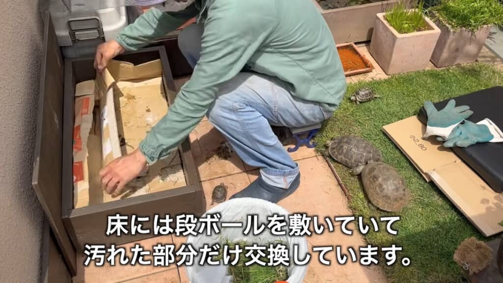 小屋に敷いた段ボールを交換