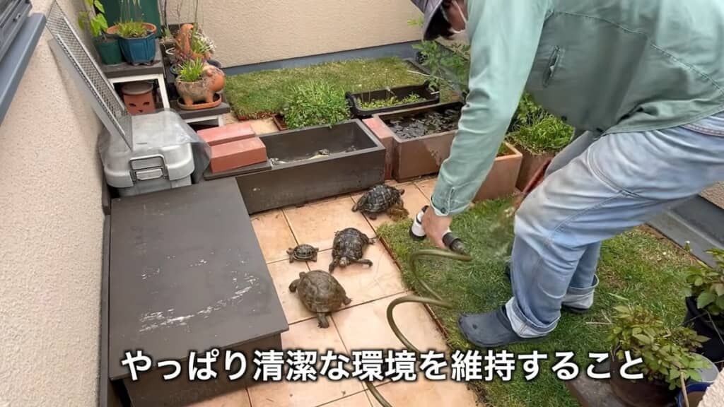 同時に床掃除も。清潔な環境作りが何より大事とのこと