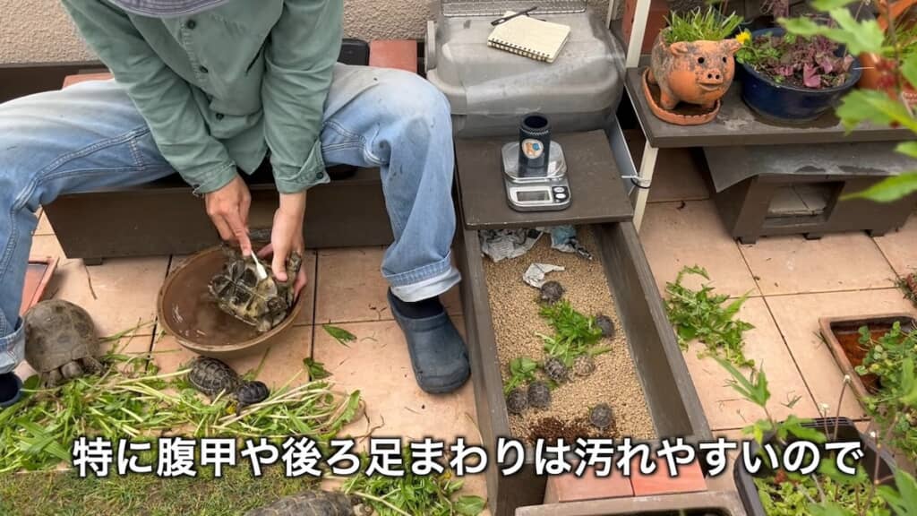 歯ブラシでていねいに洗っていきます