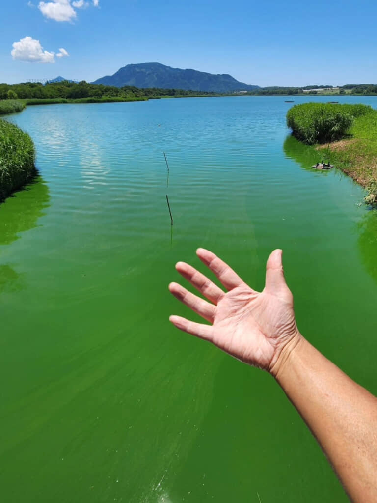 2023年に撮影された佐潟。かつて湖面を覆っていたハスは2018年頃に消失し、見る影もありません