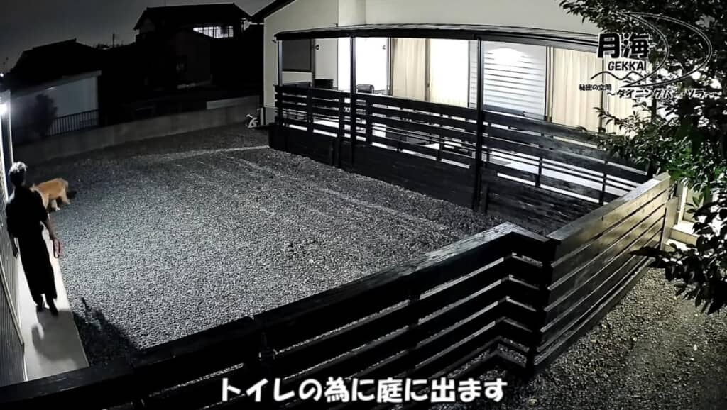 日課のトイレタイム