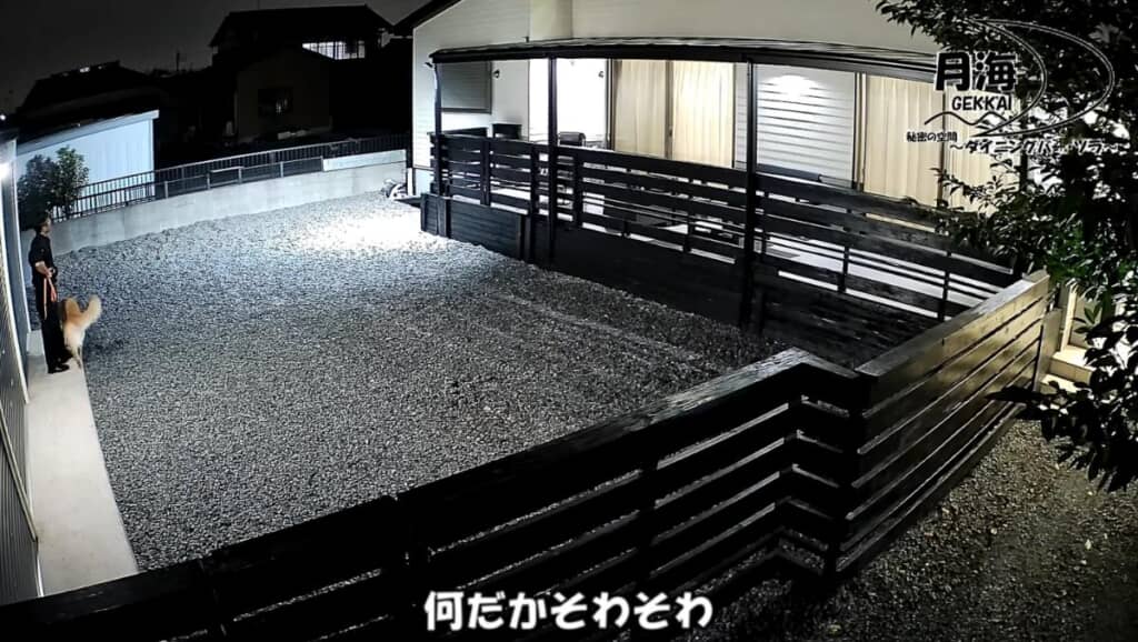 何だかソワソワしているようです