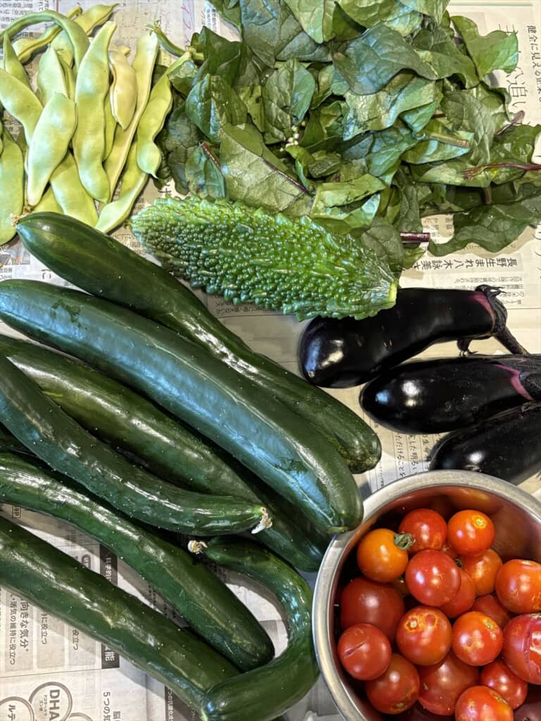 近所の90歳のおばあちゃんにもらった野菜