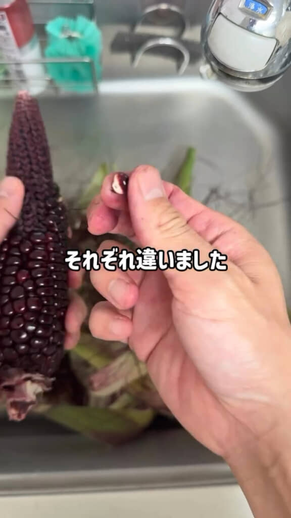 生で1粒食べてみた