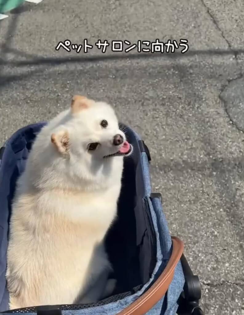 サロンへ出発！
