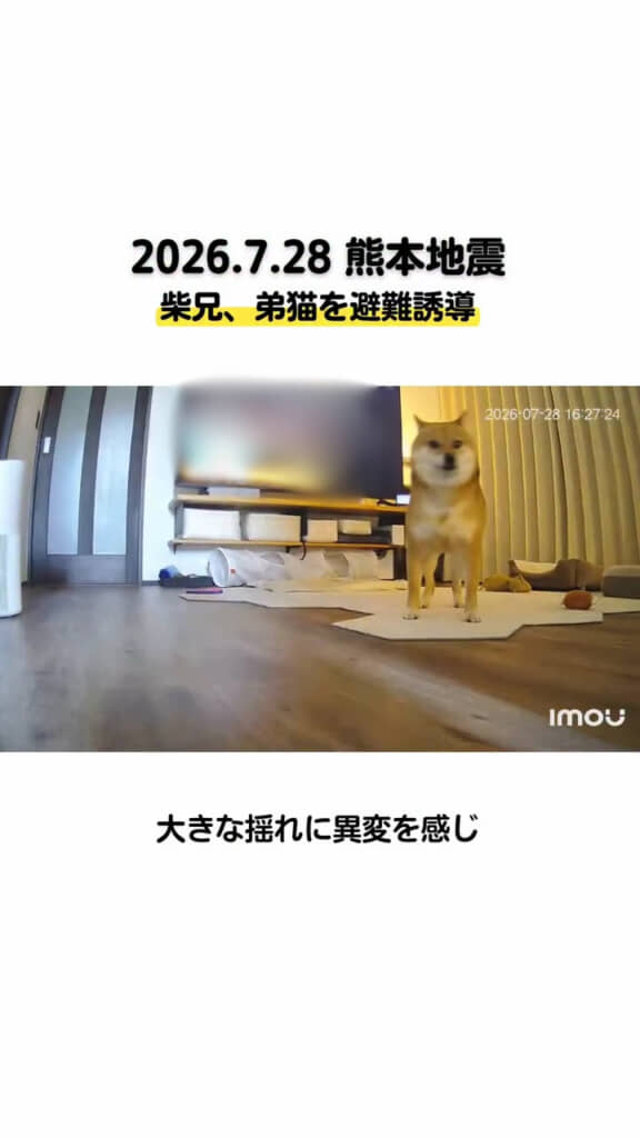 状況判断しようとするティーくん(画像は一部編集部で加工しています)