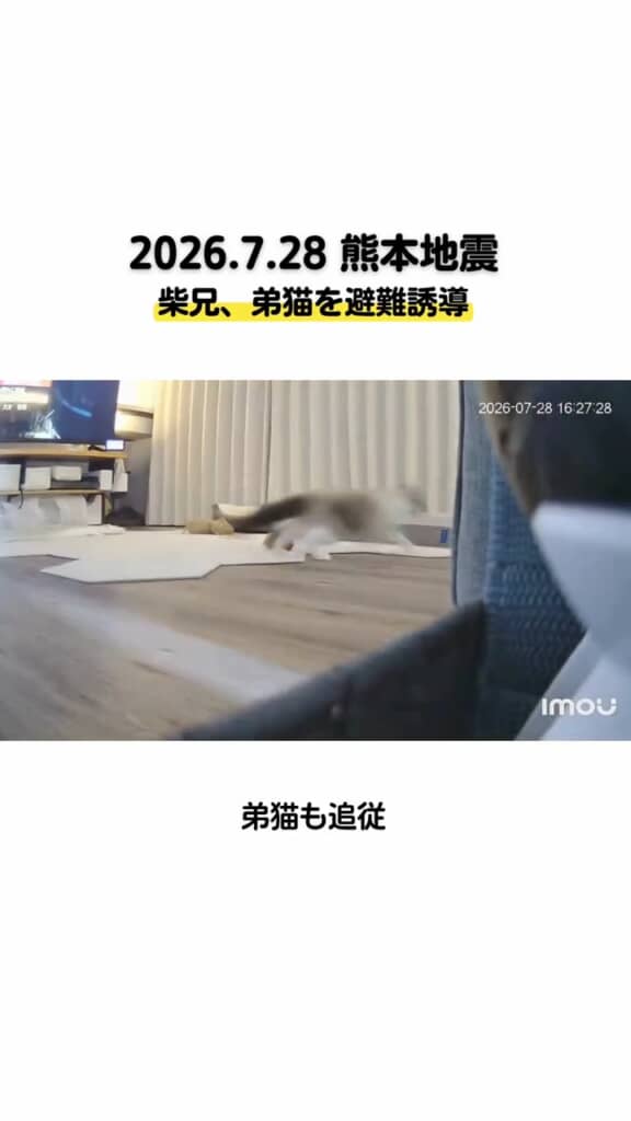 ティーくんの後に続くビャクくん