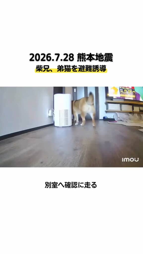 別室に確認しにいくティーくん