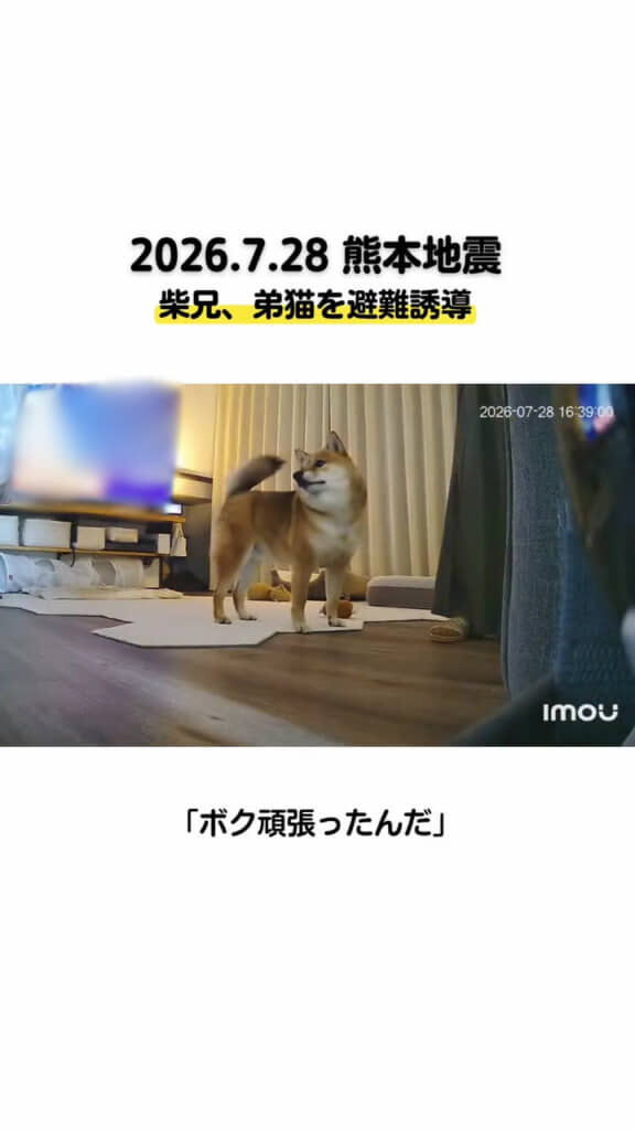 飼い主さんに報告しているのかな(画像は一部編集部で加工しています)