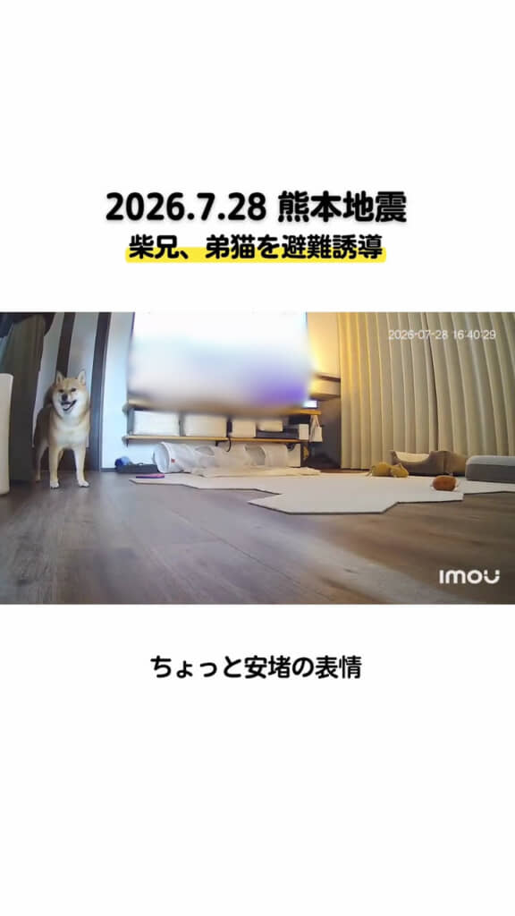 初めて笑顔を見せました(画像は一部編集部で加工しています)
