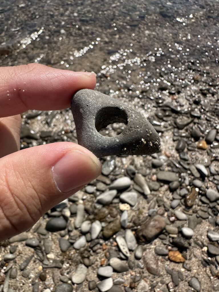 海岸で落ちていた穴の空いた石