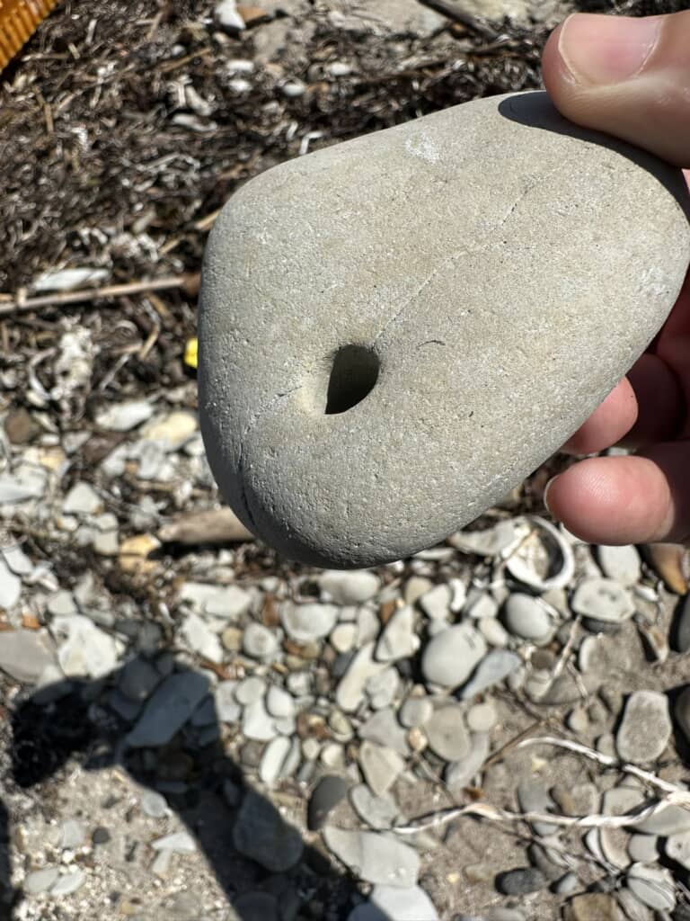 海岸で落ちていた穴の空いた石