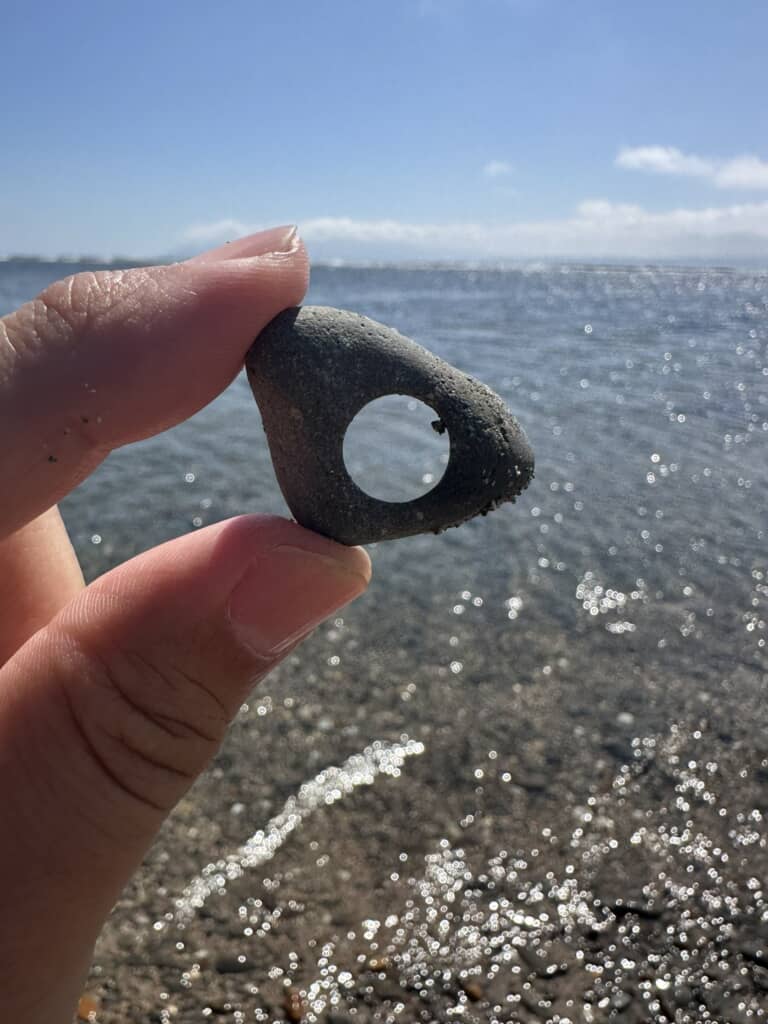 海岸で落ちていた穴の空いた石