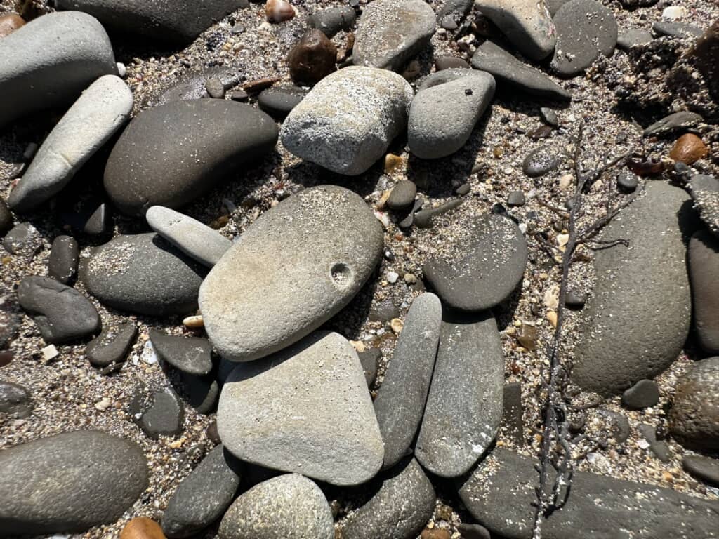 海岸で落ちていた穴の空いた石