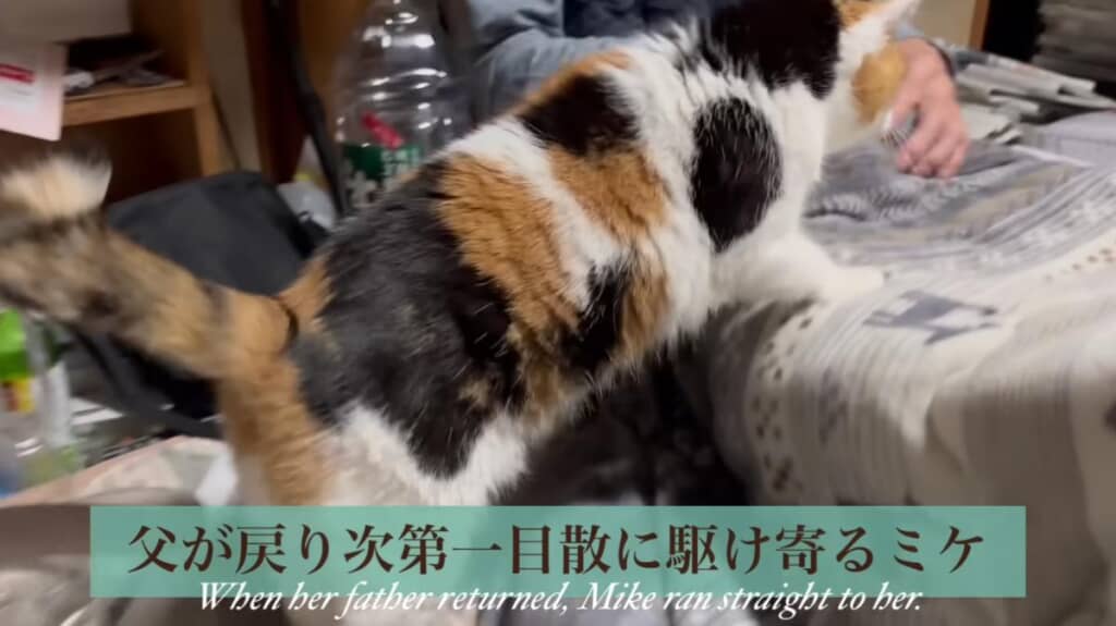 すぐにお父さんへ駆け寄ります