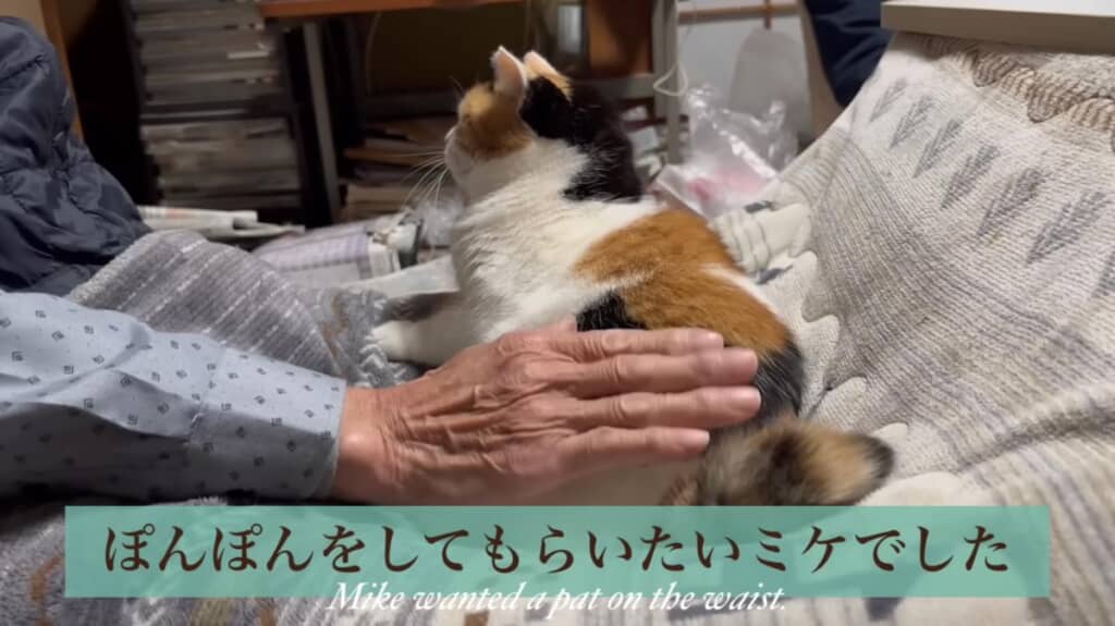 お父さんのなでなでやぽんぽんを満喫