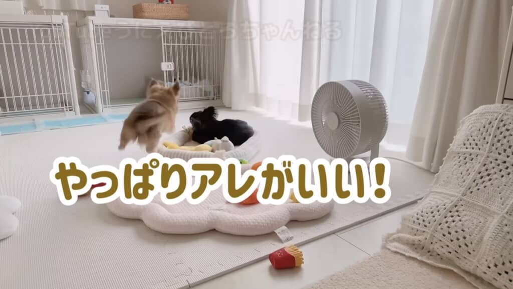 やっぱり諦められない！