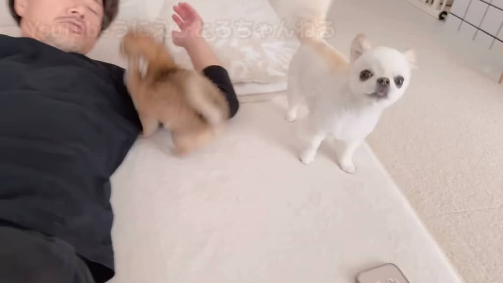 またしても怒られてしまったとろちゃんは……