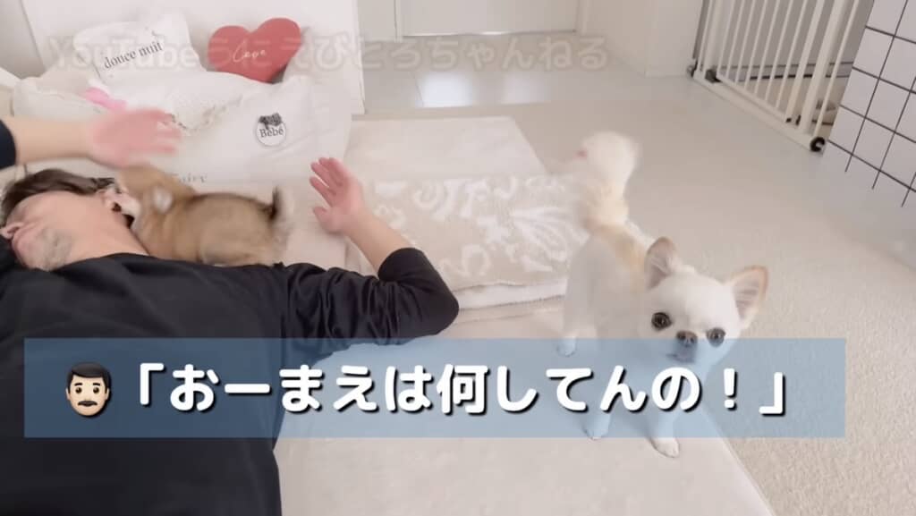パパさんに八つ当たりw