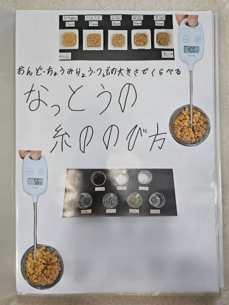 黒バックで見やすくした写真に注目