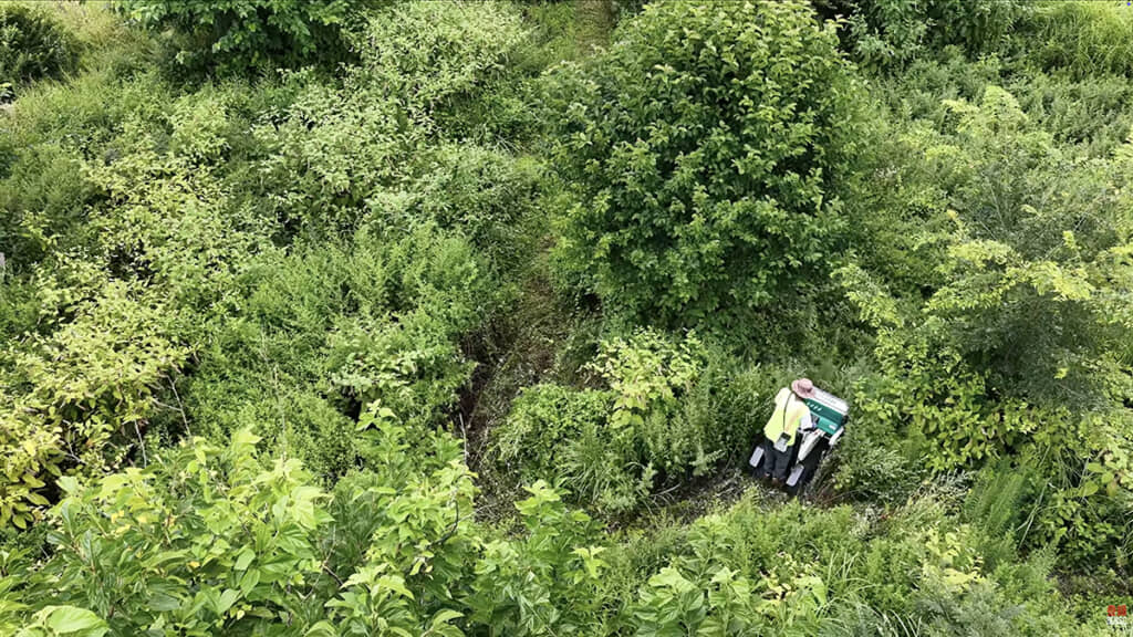 通ったあとに道ができてる！