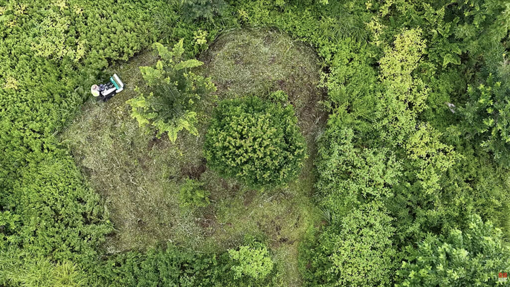 ぐんぐん草を刈っていきます