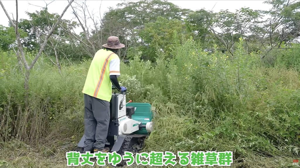 背の高い草も刈り取れます
