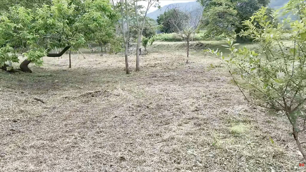 同じ場所とは思えないほどきれいに！