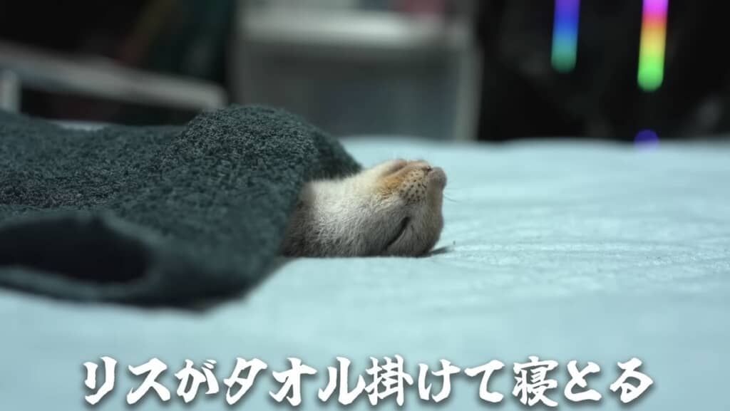 掛け布団かけてるw
