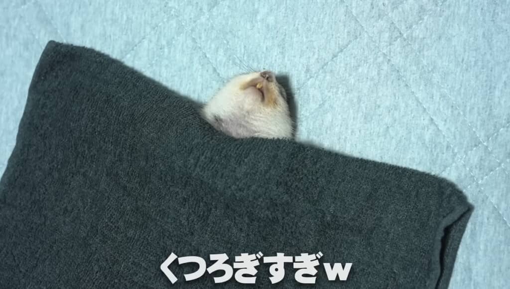 もしやおじさん……？