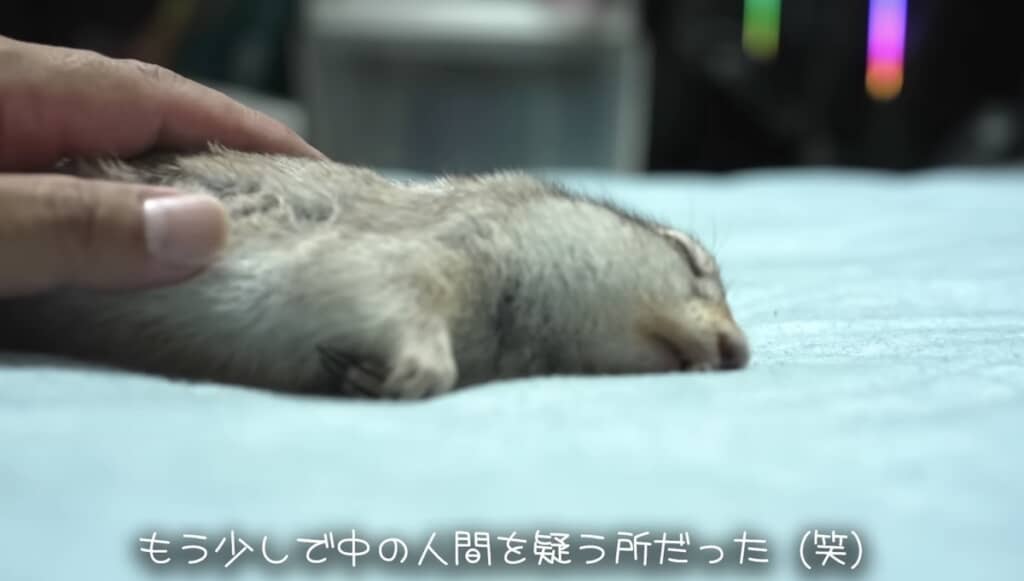 背中にチャックついてそう
