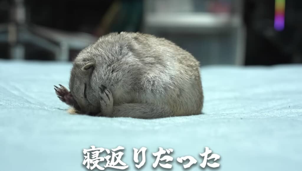寝返りが独特……!!