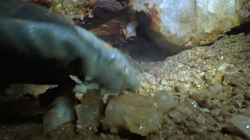 剥がした水晶をガマの奥からかき出す様子