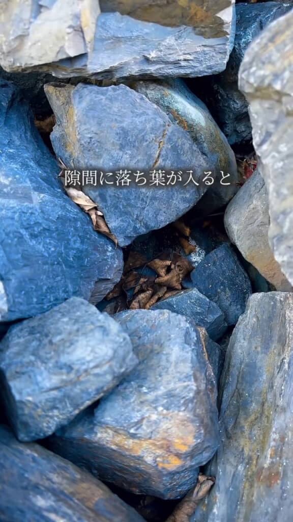 落ち葉が取りにくい
