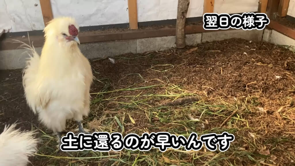 ……翌日にはこのとおり