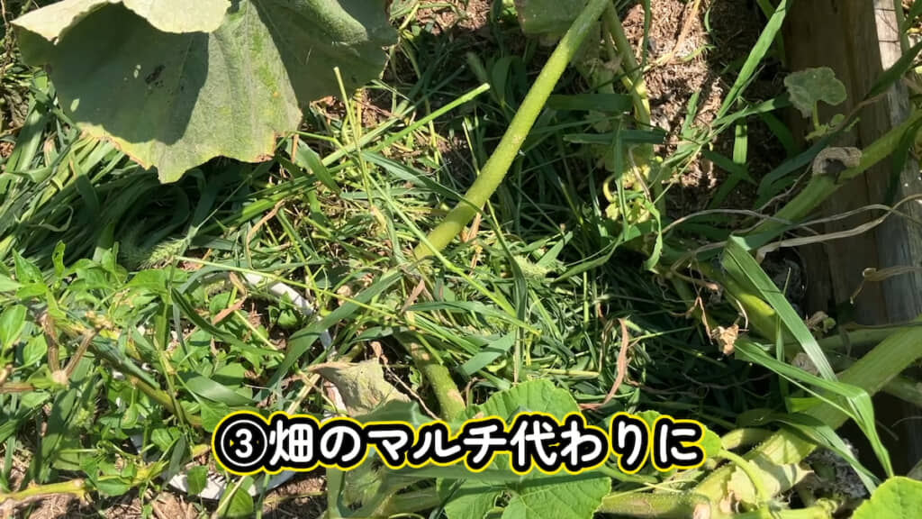 畑の乾燥を防いでくれる