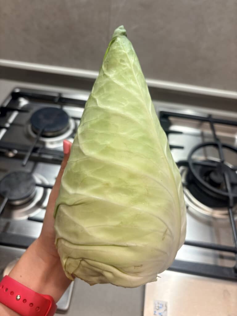 とんがったキャベツ！