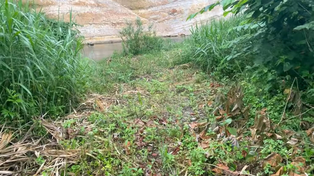 こちらの川で石拾いをしていきます