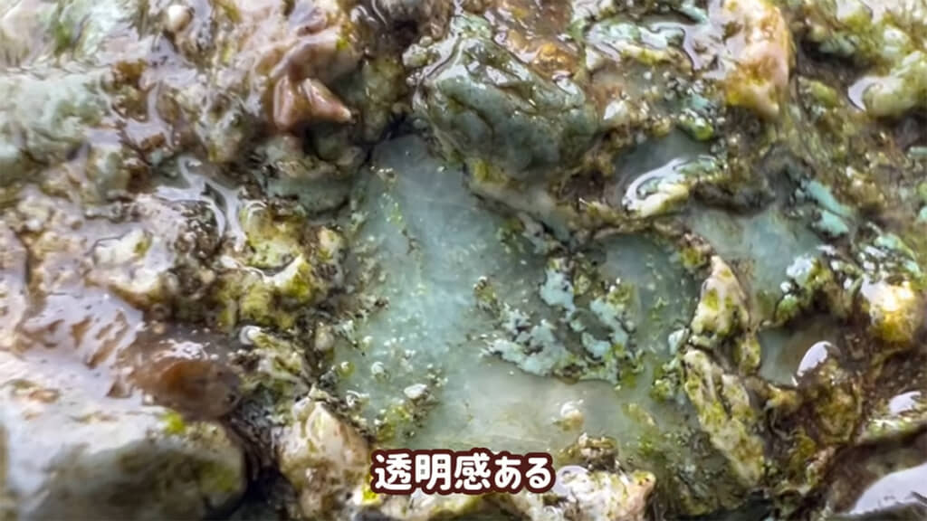 透明感のある石を発見