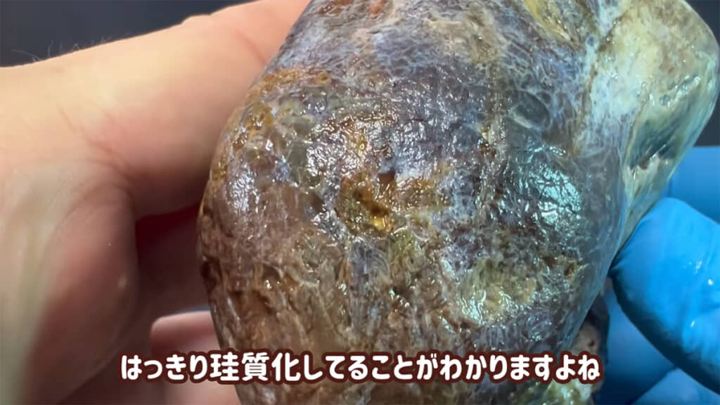 間近で観察すると、何とも美しいです